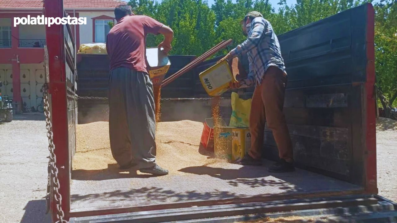 Polatlı İlçe Müftülüğü Hafızlık Yatılı Kur'an Kursları Için Yeniköseler’de Öşür Topladı (2)