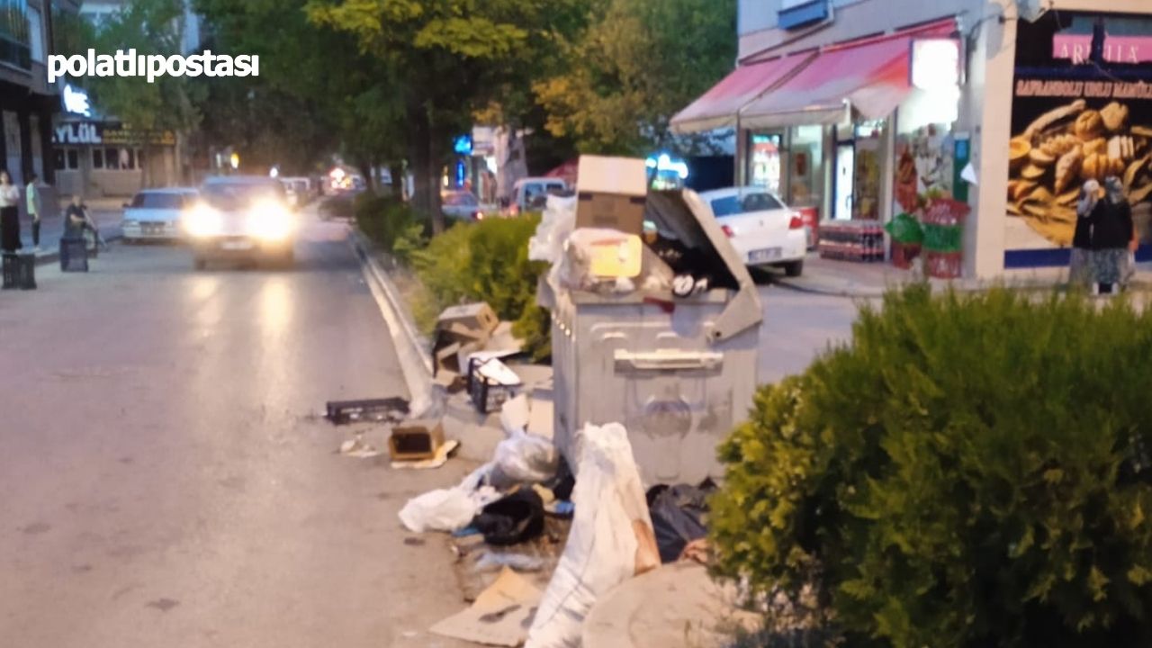 Polatlı'da Çöp Sorunu Aşırı Sinek Ve Sivrisinek Oluşumu Alarm Veriyor (2)