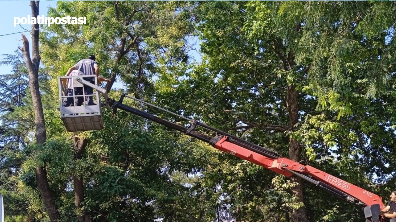 Polatlı'da Rüzgardan Ağaç Dalı Kırıldı! Budama Çalışmaları Yapıldı (3)