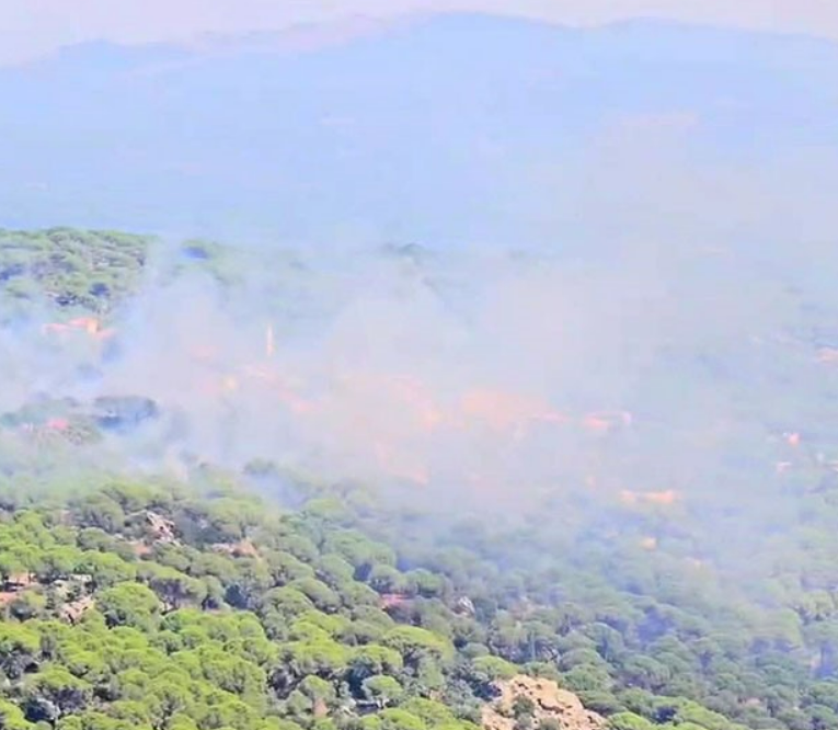 İzmir'de Bir Yangın Daha Çıktı! Müdahaleler Devam Ediyor! 