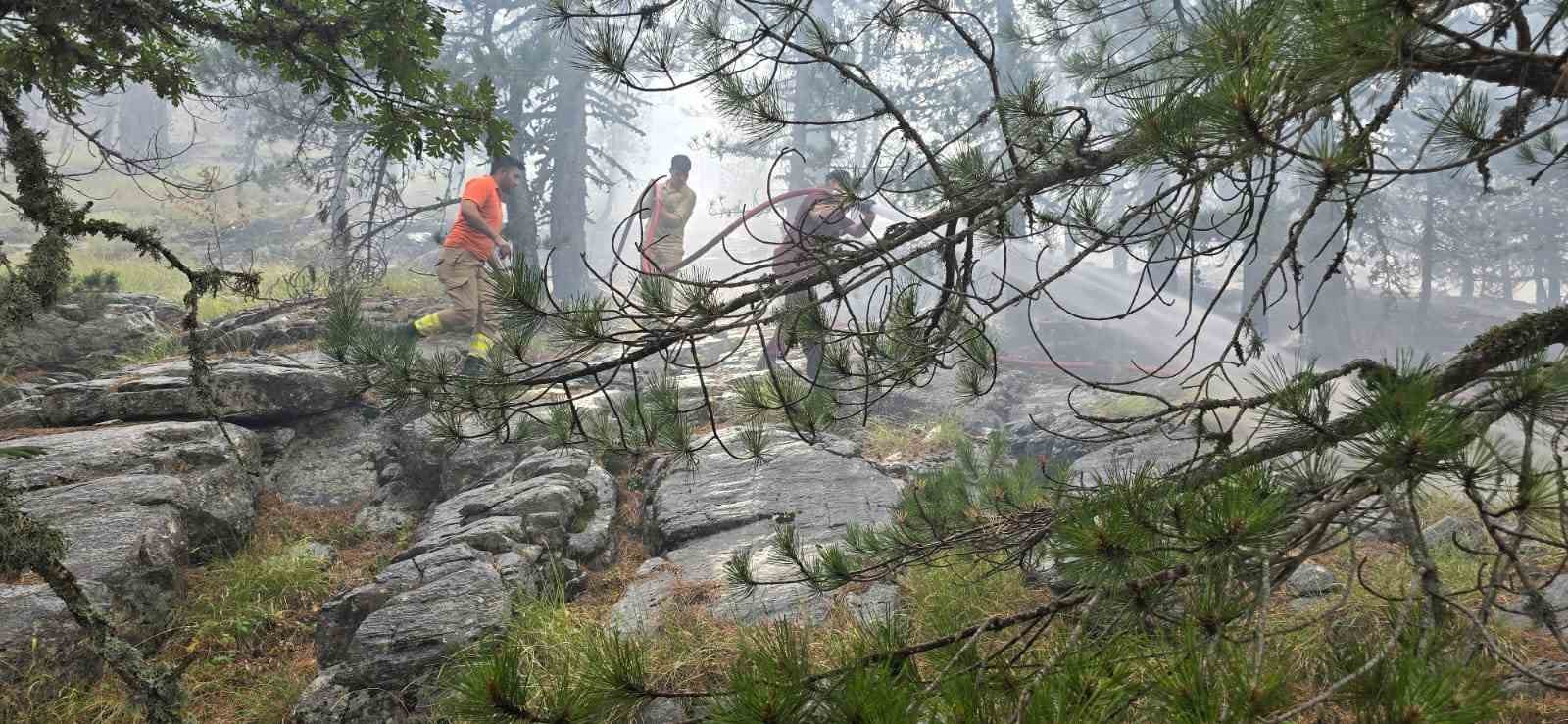 Kazdağı’nda Korkutan Yangın Müdahaleler Devam Ediyor!  (2)