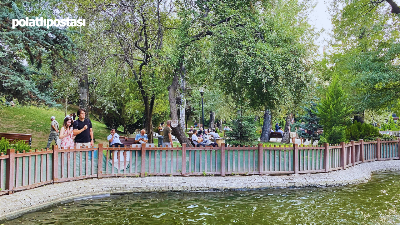 Kuğulu Park'ta Yanlış Budamanın Izleri Hâlâ Silinmedi (1)