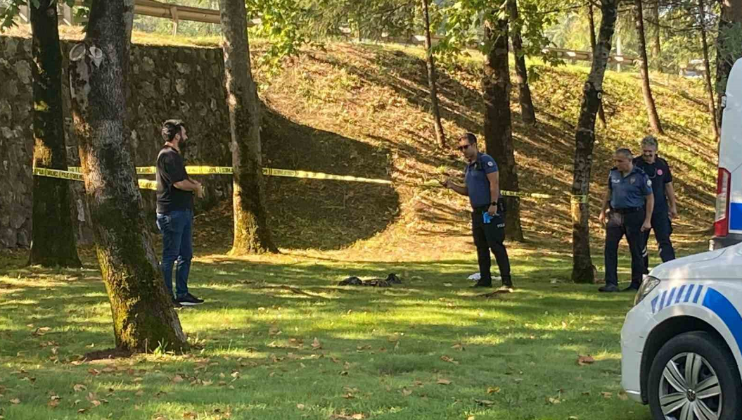 Sahilde Bisiklet Süren Vatandaş Gördükleri Karşısında Hayatının Şokunu Yaşadı (3)