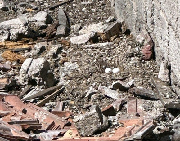 Yıkım Ekibi De Gördükleri Karşısında Şaştı Kaldı İşlemler Durduruldu (3)