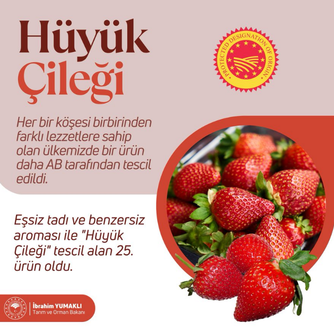 Hüyük Çileği Ab'den Tescil Aldı! (1)