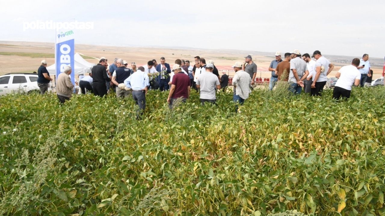 Polatlı'da Çiftçilere Alternatif Ürün Soya Fasulyesi Tarla Günü Etkinliği Düzenlendi (2)