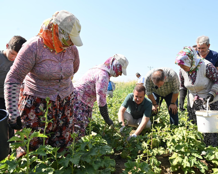 Balıkesir Tarım