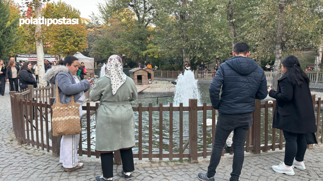 Kuğulu Park’ın Bebek Kuğularına Saat Sınırlaması (2)