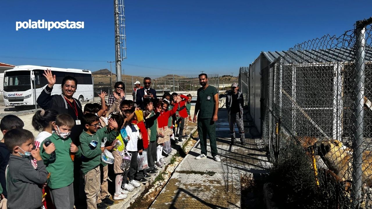 Polatlı Kent Konseyi’nden 4 Ekim Dünya Hayvanları Koruma Günü'nde Anlamlı Etkinlik (4)