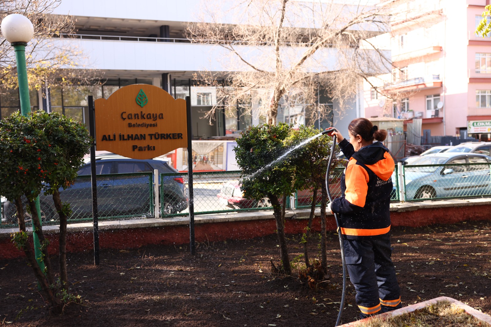 Çankaya Belediyesi'nden Ali İlhan Türker Parkı'na Doğal Çim Bakımı (1)