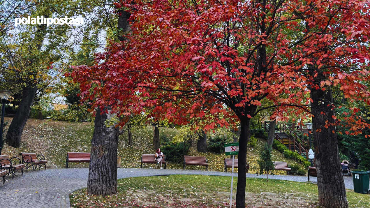 Kuğulu Park Sonbaharın Renklerine Boyandı (3)