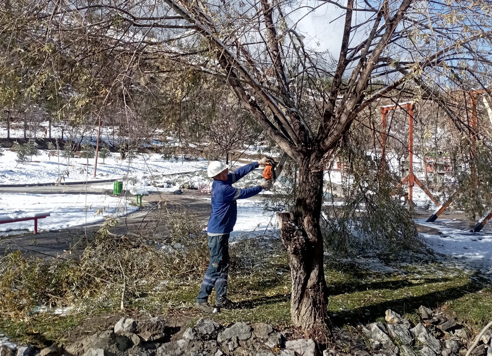 Mamak’ta Ağaçlara Kış Bakımı (2)