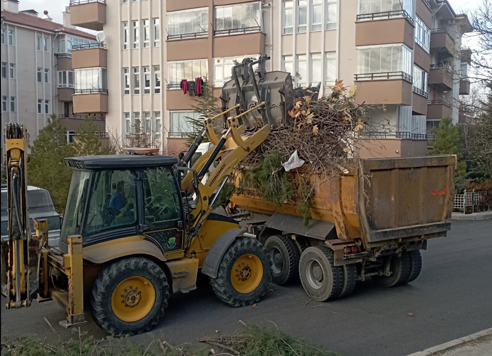 Mamak’ta Ağaçlara Kış Bakımı (3)