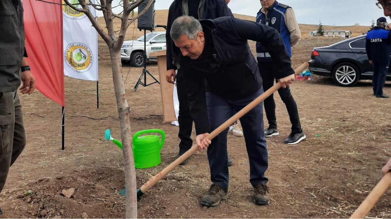 Polatlı'da 2 Bin Fidan Toprakla Buluşacak (2)