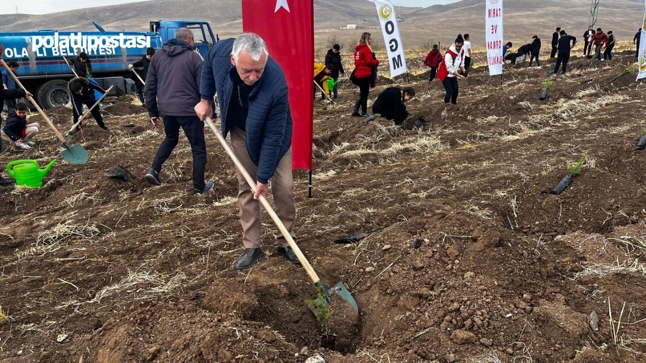 Polatlı'da “Milli Ağaçlandırma Günü” Etkinliğiyle 2000 Fidan Toprakla Buluştu (2)-1