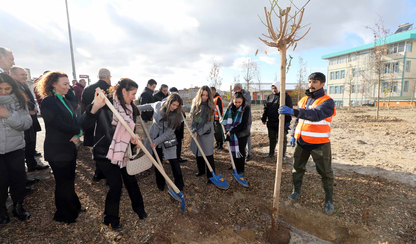 Yenimahalle’den Öğretmenler Için Ağaçlandırma Alanı 120 Ağaç Toprakla Buluştu! (2)