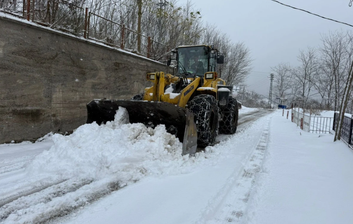 Doğu Karadeniz'de Kar Yağışı Etkili 123 Köy Yolu Kapalı (2)