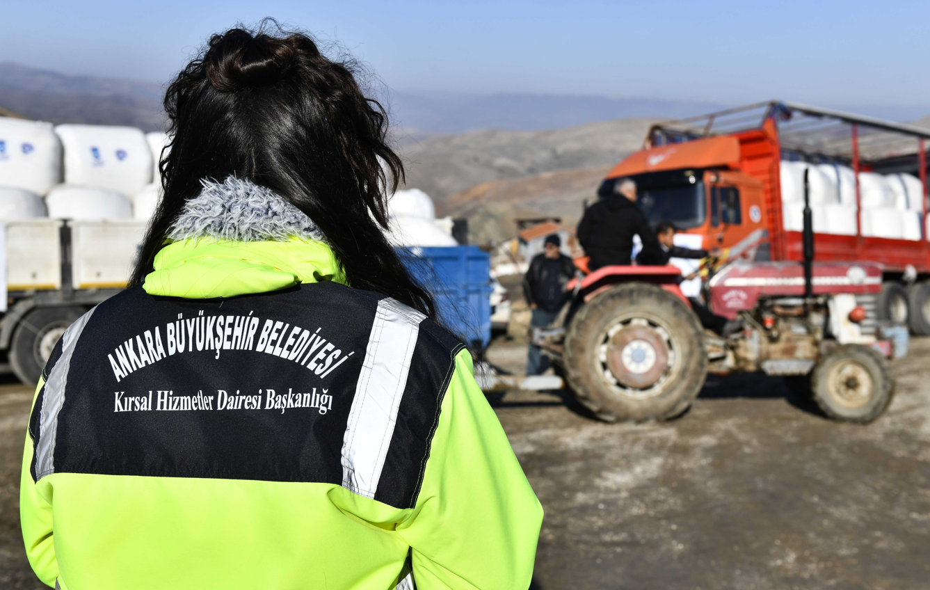 Kalecikli Üreticiye Can Suyu Silajlık Mısır Desteği (3)