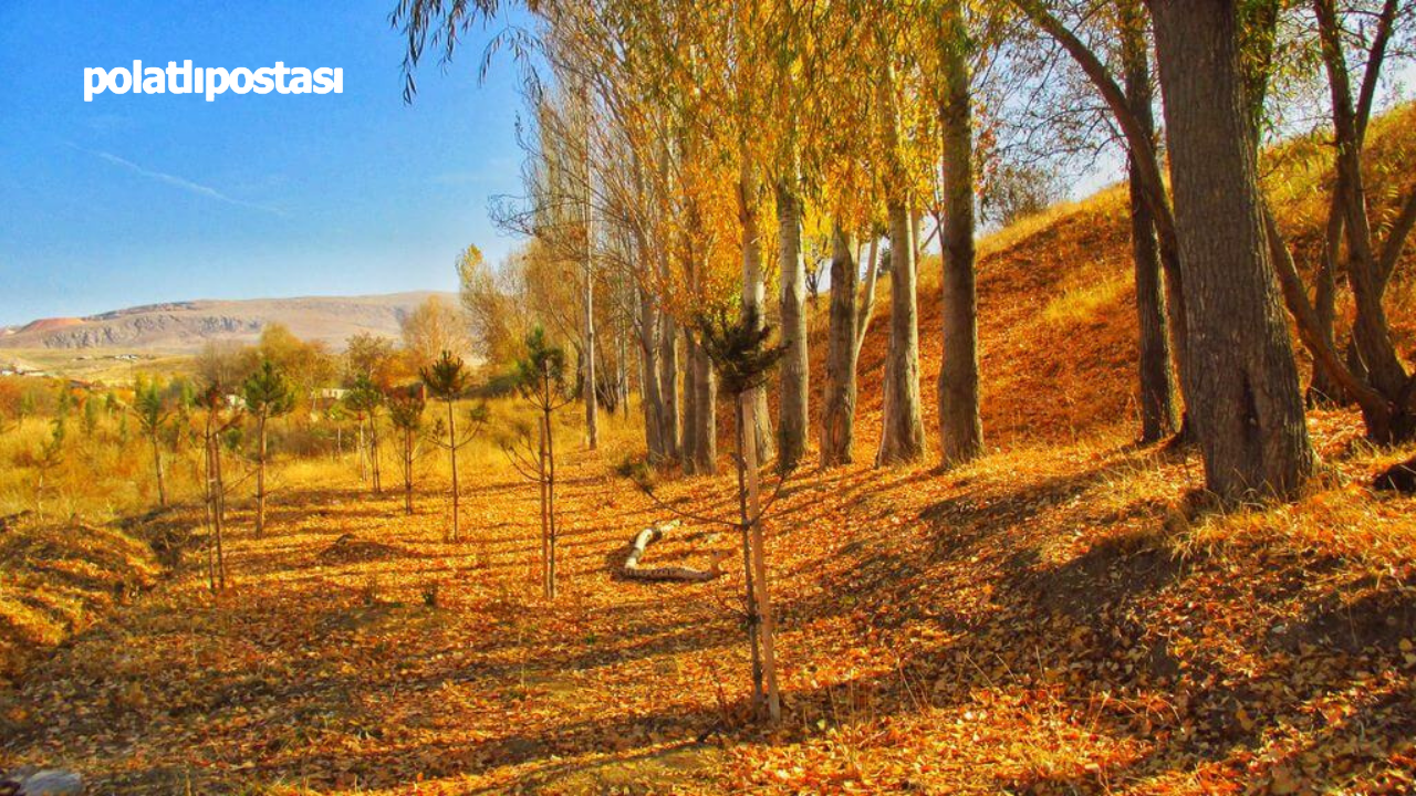 Kirazdibi Göleti Yaz Kış Demeden Ziyaret Ediliyor!  (3)