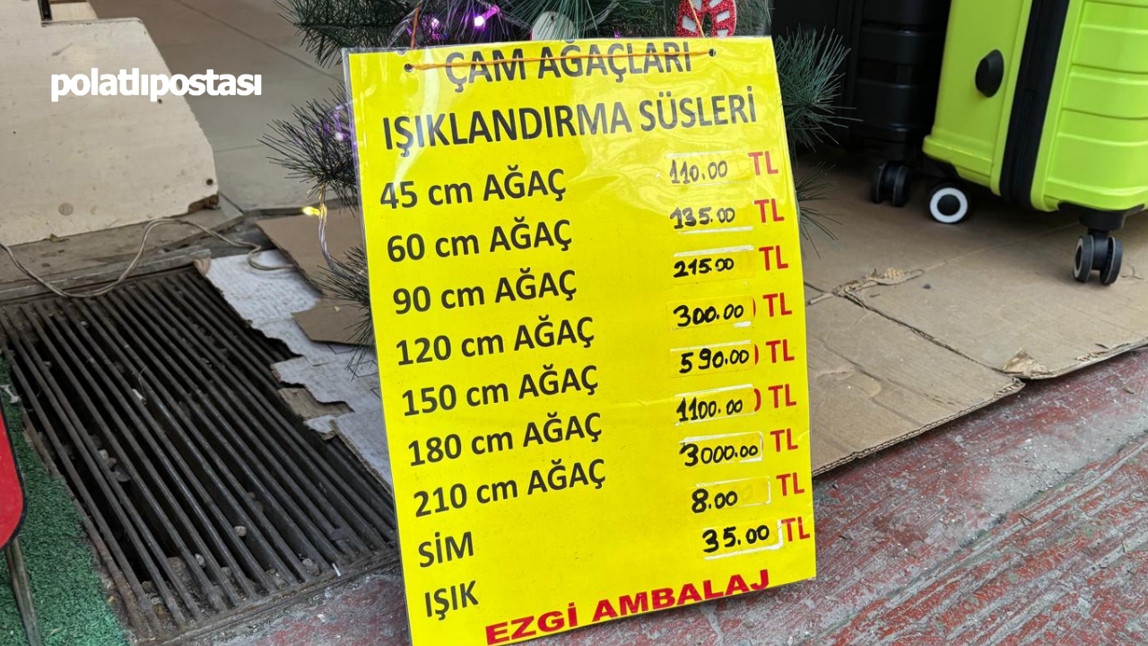 Yılbaşı Hazırlıkları Başladı Çam Ağaçları Ve Süsler Tezgâhlarda (3)