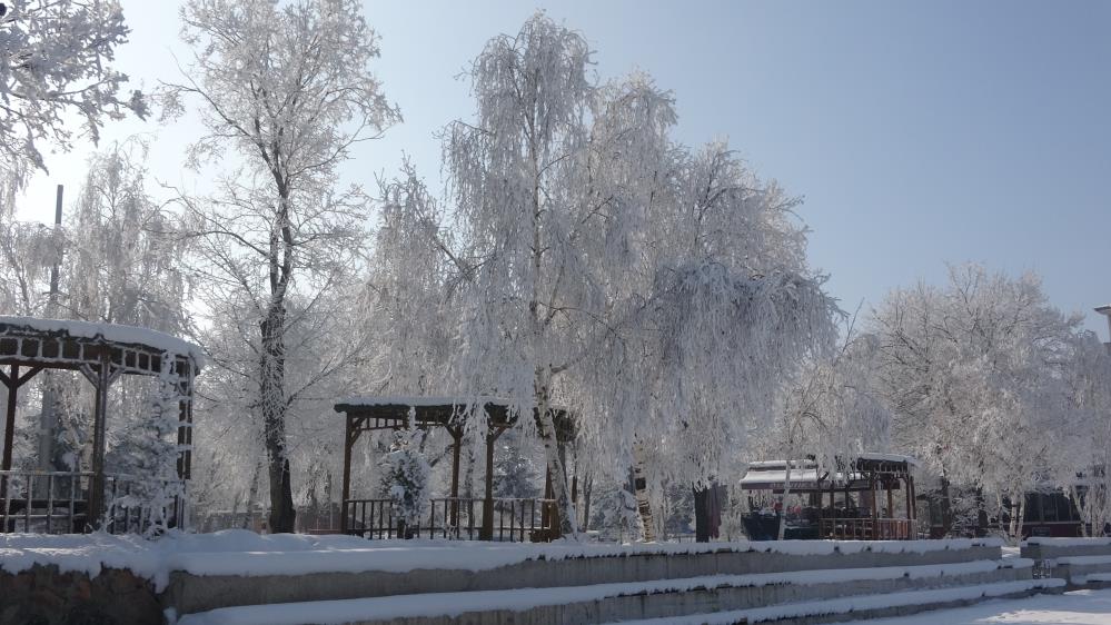 Ardahan Buz Tuttu! Termometreler Eksi 25'I Gösterdi (2)