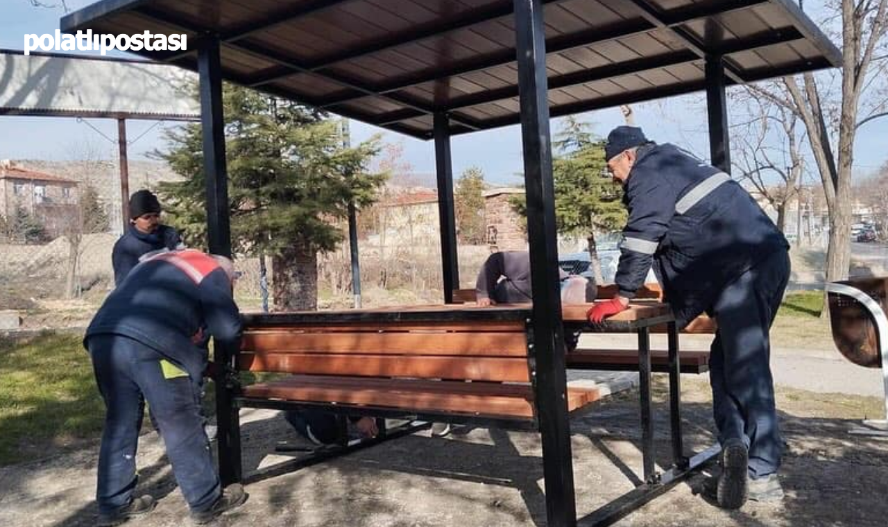 Beypazarı'nda Parklara Yeni Kamelyalar (1)