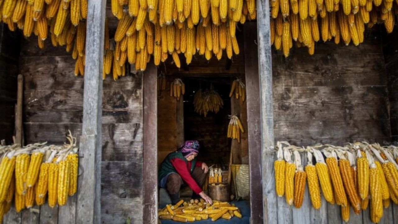 Fotoğraf Birincisi