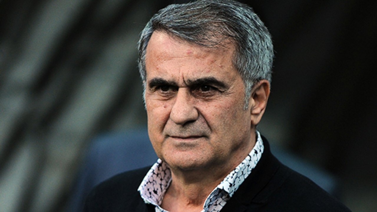 Şenol Güneş-8