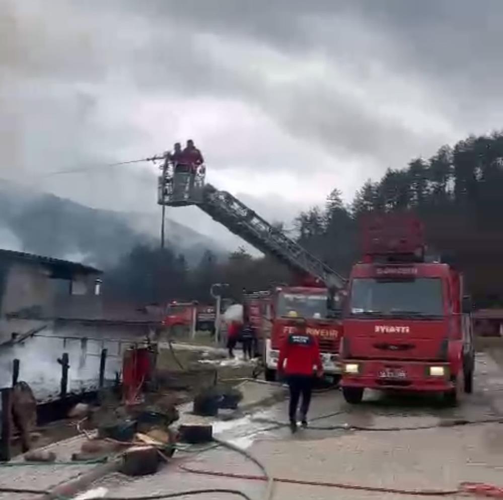 Bolu Mengen Yangın 3