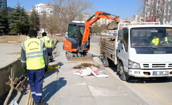 Natoyolu Caddesi'nde Ağaçlandırma Çalışmaları Hızla Devam Ediyor (2)