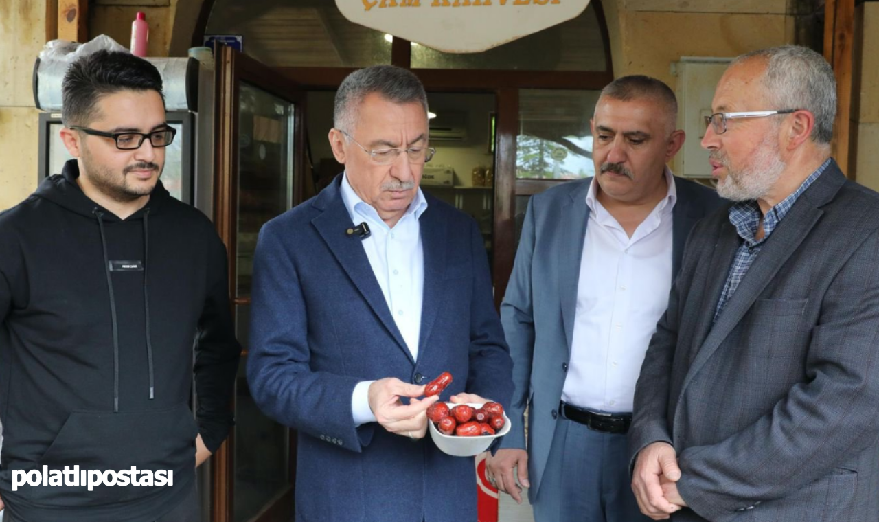 Ankara Milletvekili Fuat Oktay, Çamlıdere'deki Projeleri Yerinde Inceledi