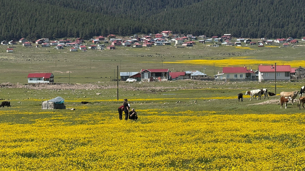 Ankara'da Şehirden Kaçışın Yeni Rotası Benli Yaylası (1)