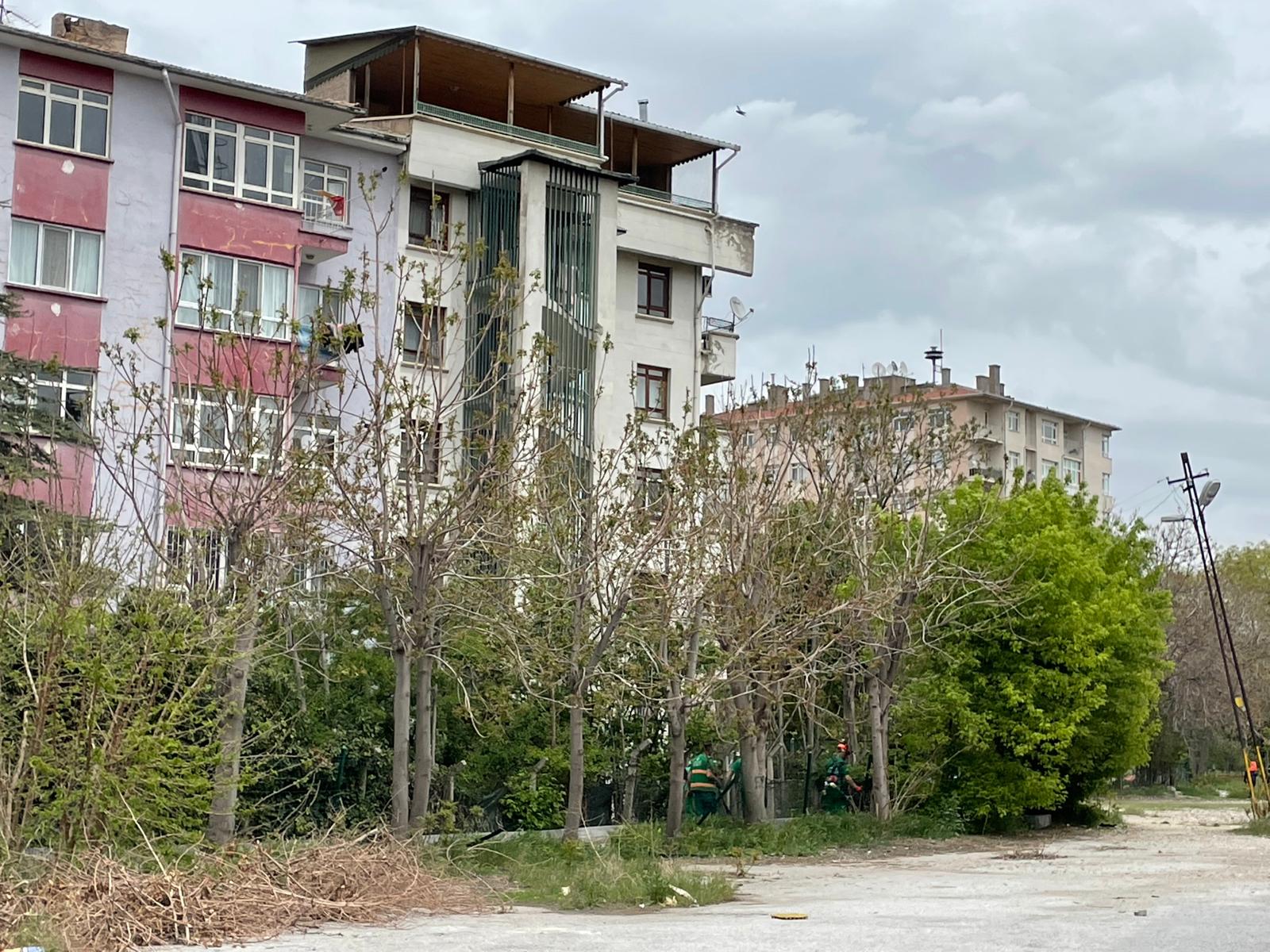 Çankaya Temizlik