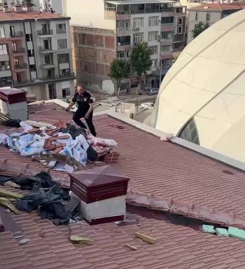 Çatıda Tilki Alarmı!  (3)