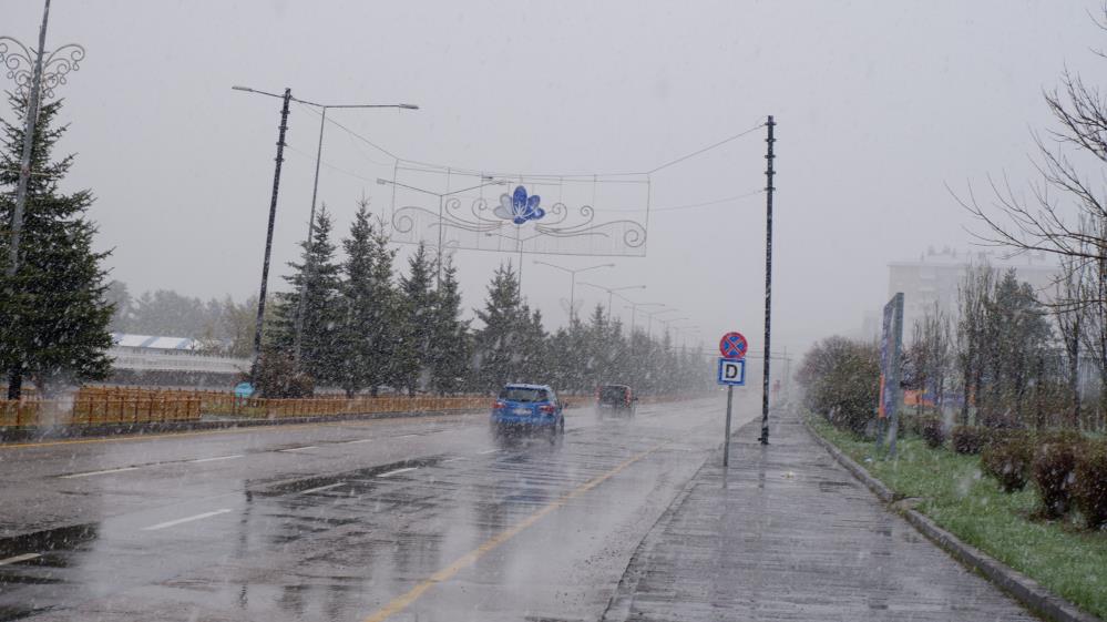 Erzurum Kar 2
