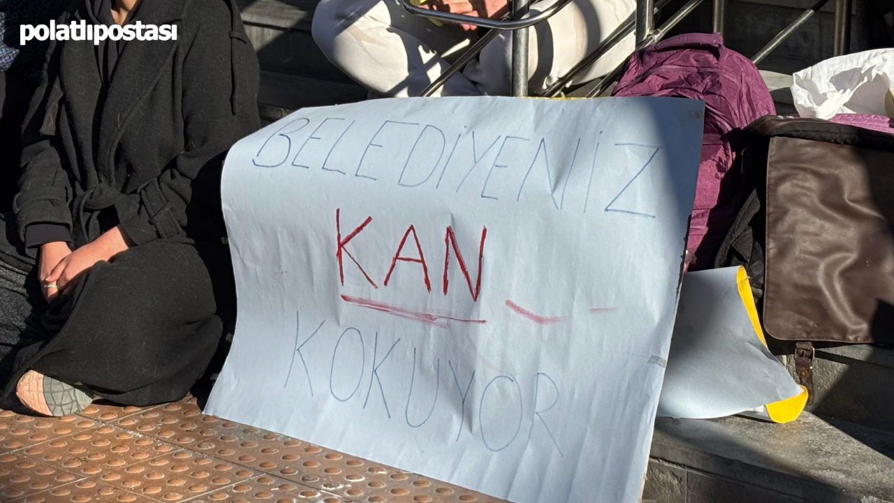 Hayvanseverlerden Çankaya Belediyesine Tepki Bir Can Daha Gitti!  (3)