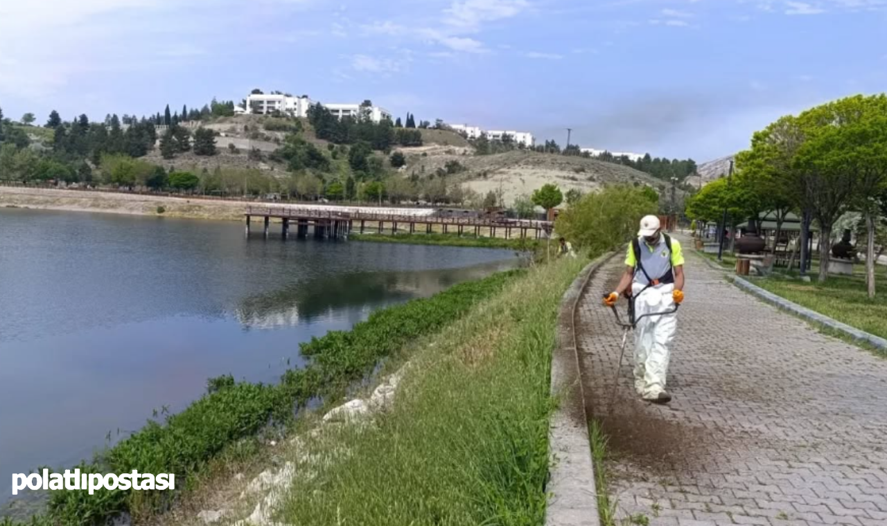 Nallıhan Belediyesi Ekipleri Çayırhan Mahallesi'nde Topyekun Çalışma Başlattı (1)