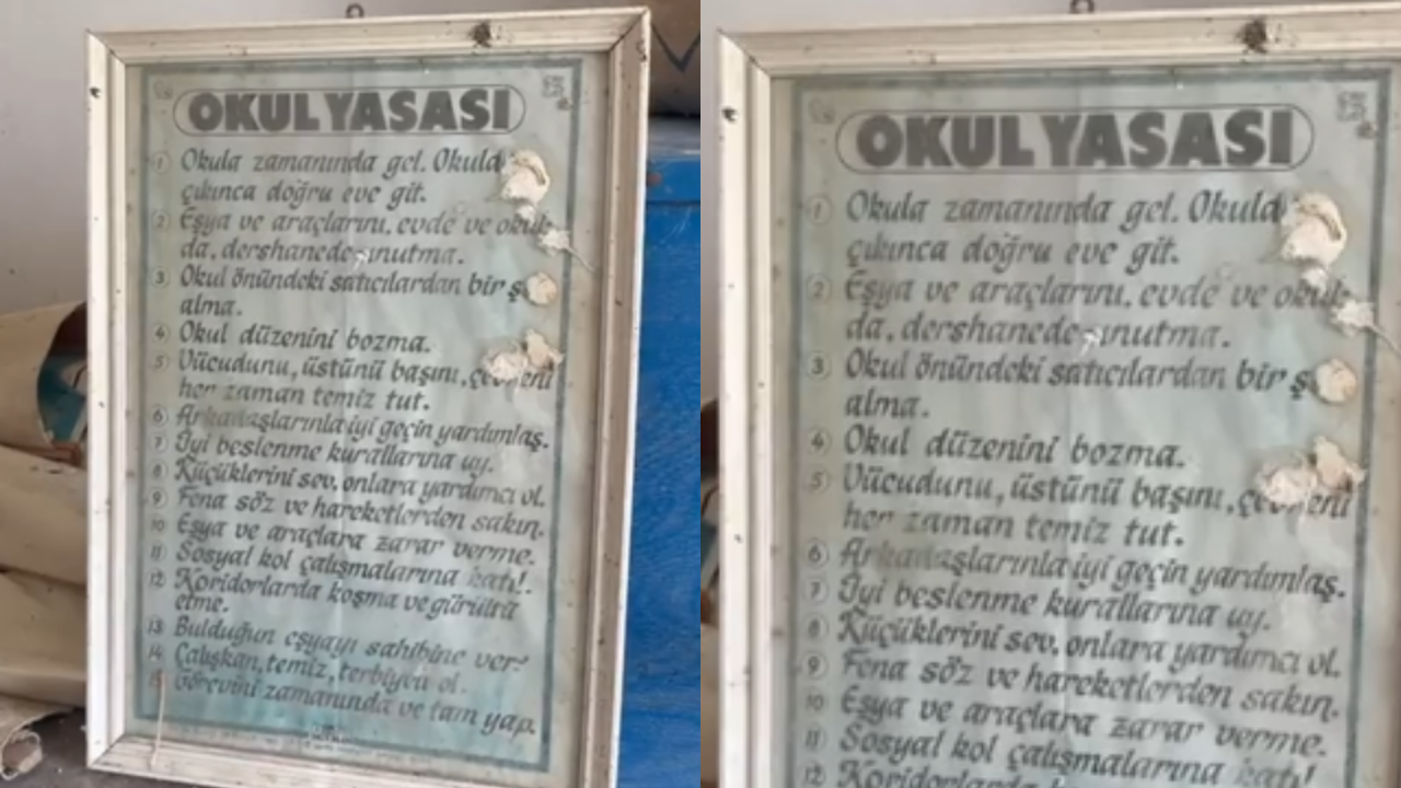 Okul Yasası