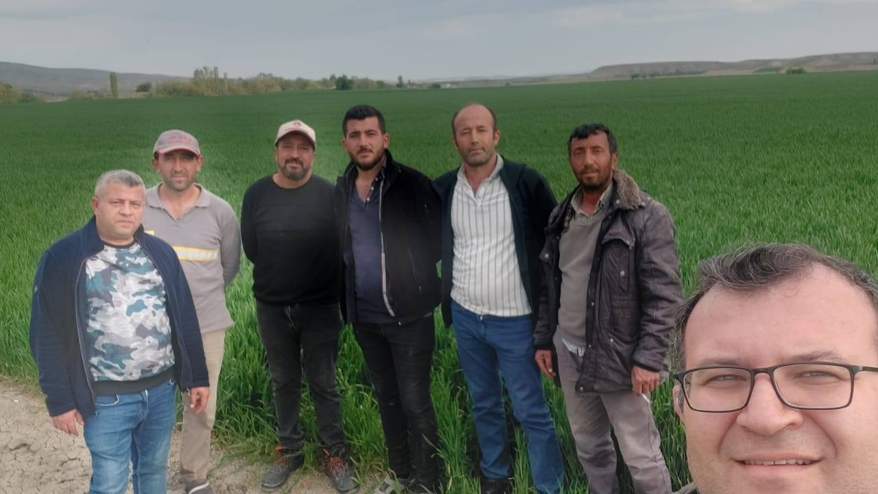 Pancar Tarlaları (1)