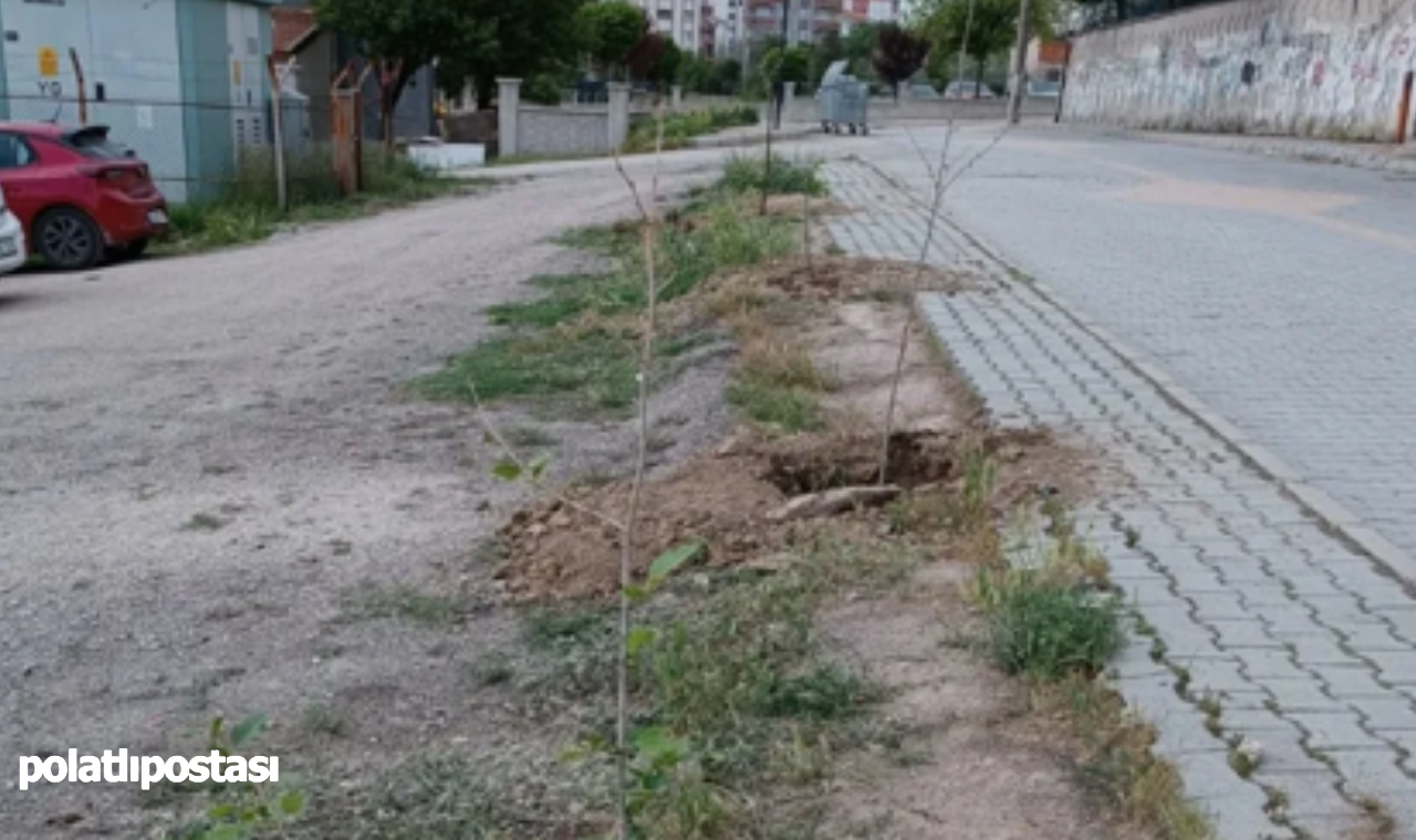 Polatlı Ruhiye İrfan Yurtseven İlkokulu'ndan Anlamlı Etkinlik (1)