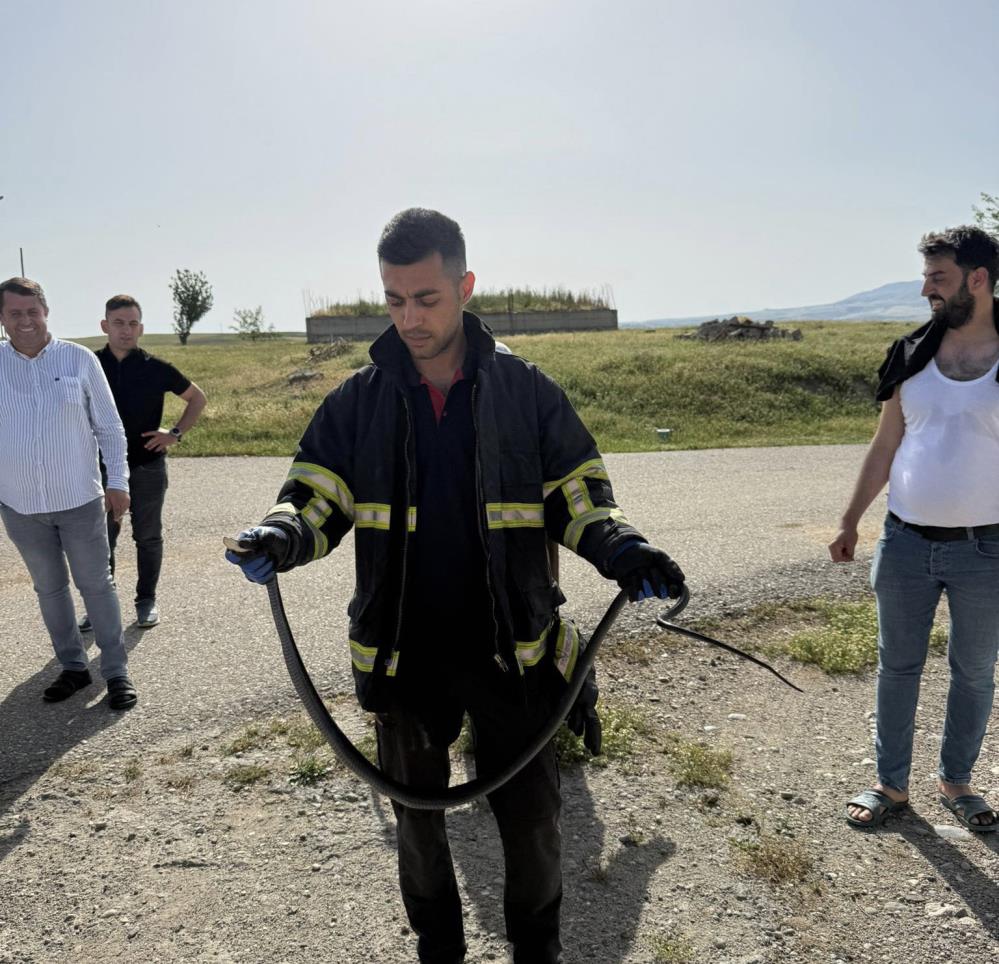 Tavan Arasına Giren Yılan Korkuttu! (1)