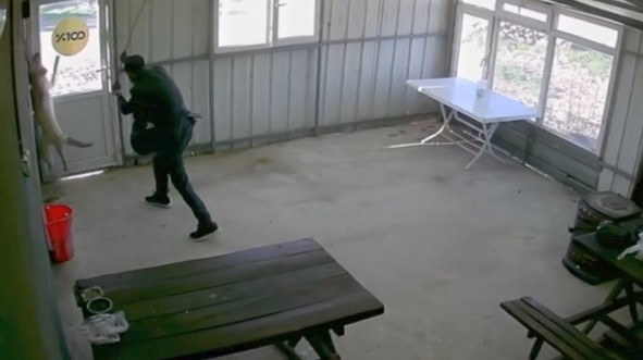 Yaşlı Adam Köy Kahvesindeki Köpeği Bastonla Dakikalarca Dövdü  (2)