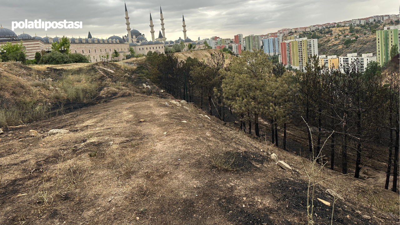 Ankara Yangın (1)-1