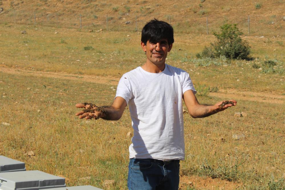 Arılarla Kurduğu Bağ Herkesi Hayrete Düşürüyor (2)