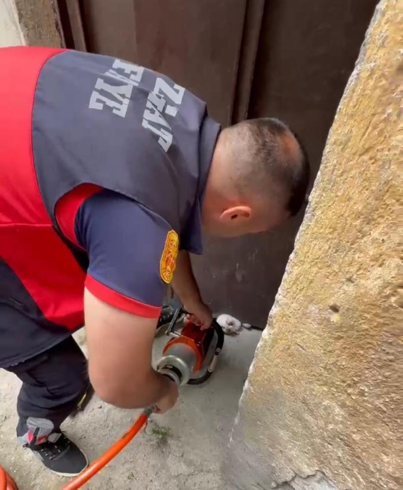 Farklı Noktalarda Kedi Kurtarma Operasyonu (2)