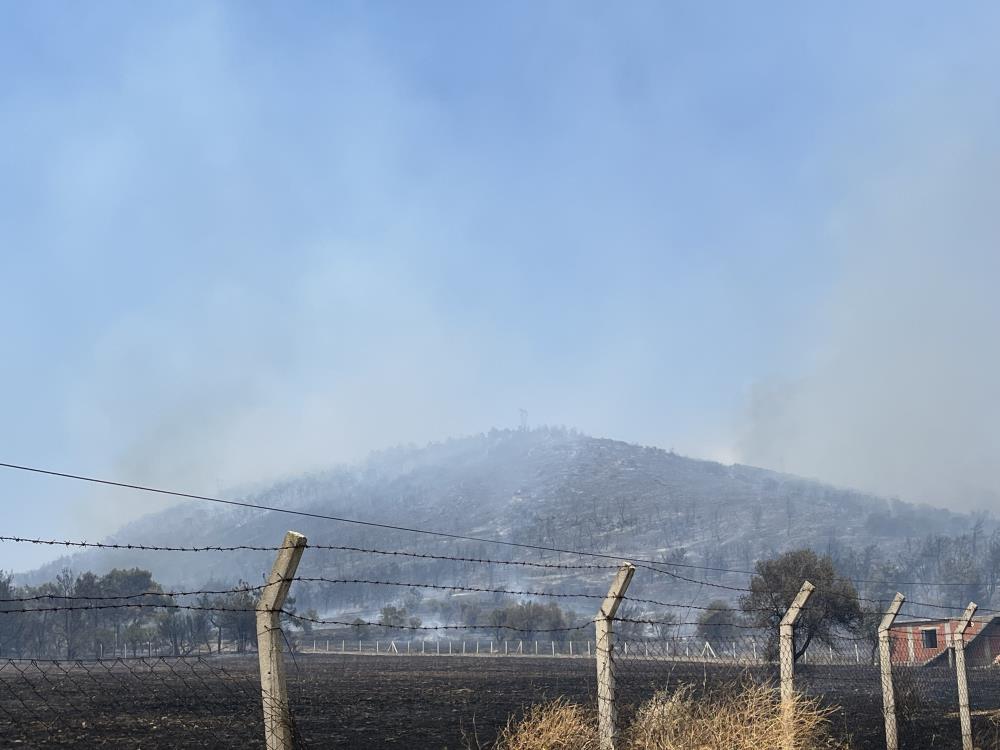 Foça Yangın 4