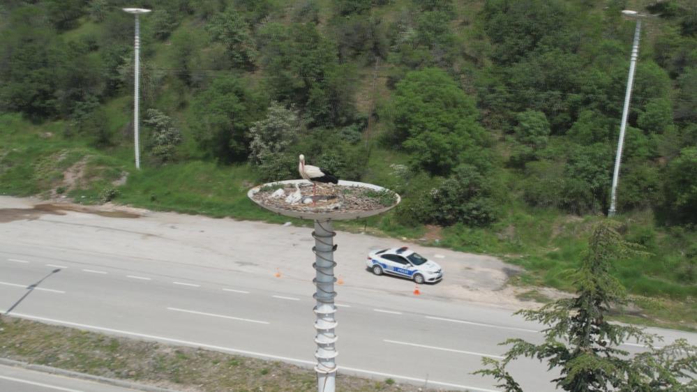 Leylek 1