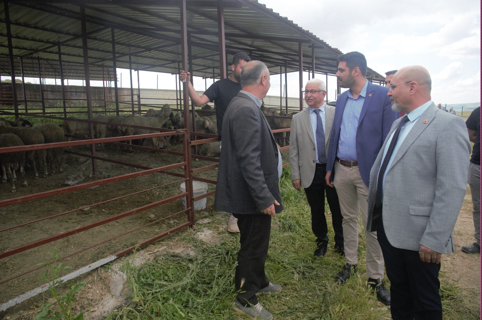 Polatlı Belediyesi Hayvan Pazarı'nda Kurban Bayramı Hareketliliği (3)