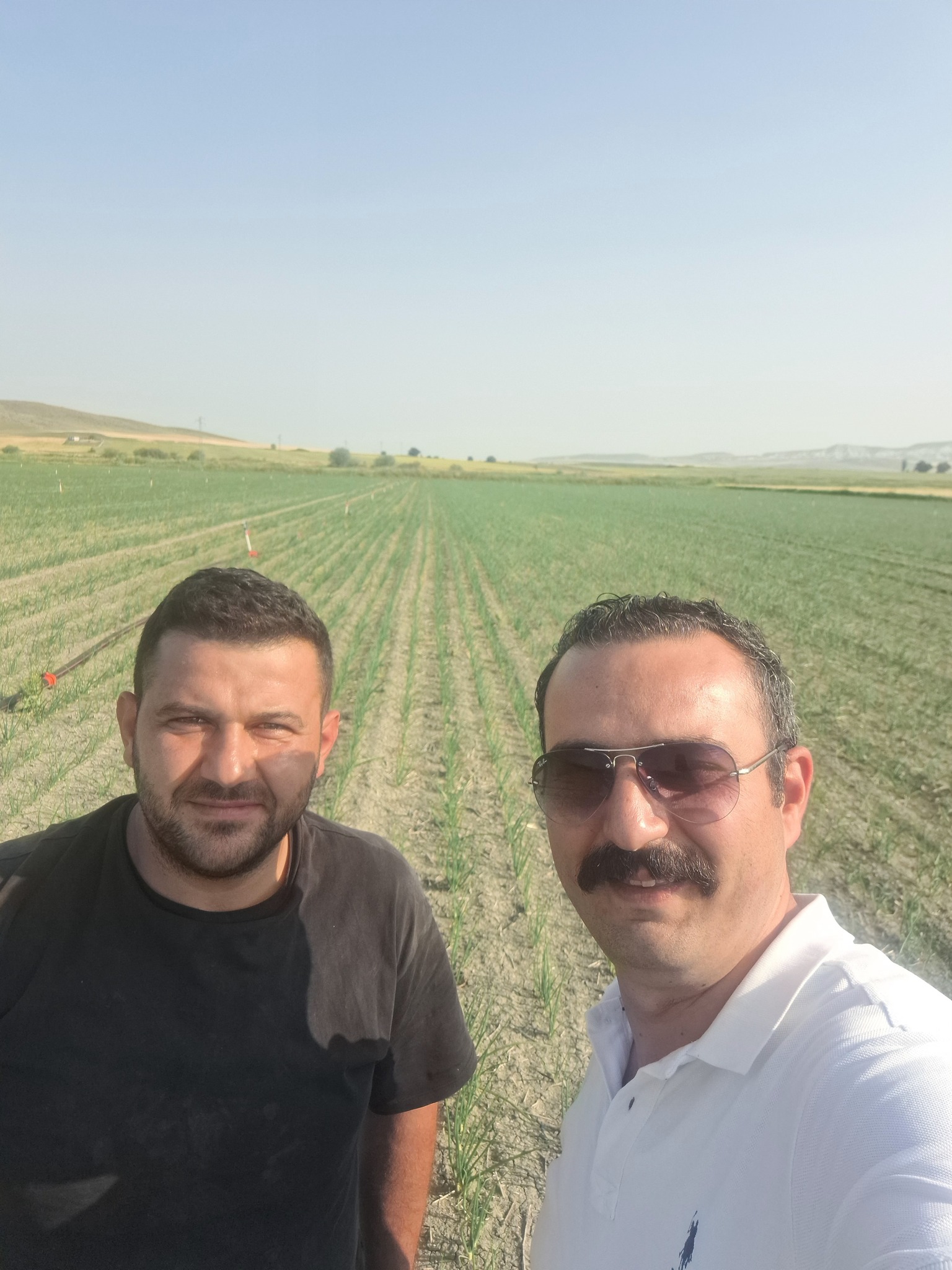 Polatlı Pancar 2