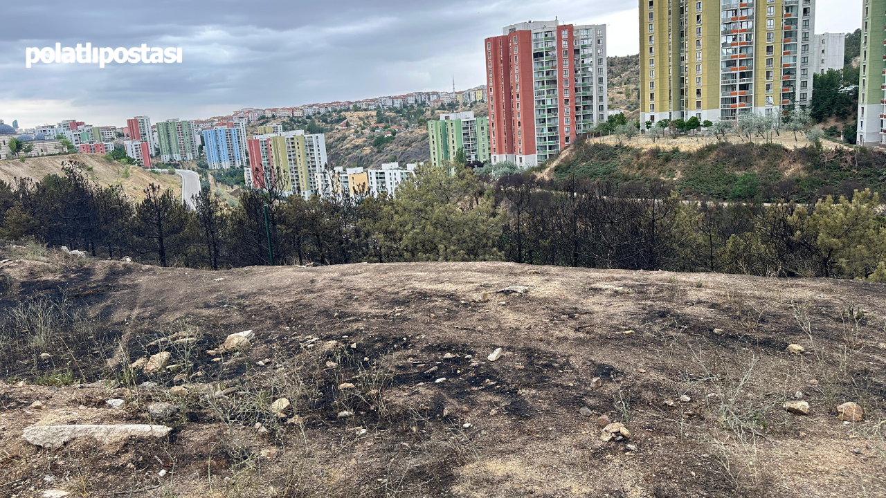 Sevcan Orhan (1)
